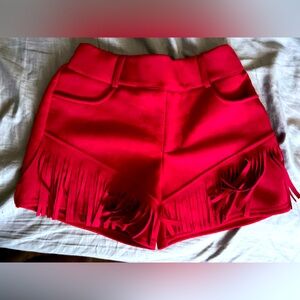 Any Fringe of Mine Crazy Train shorts